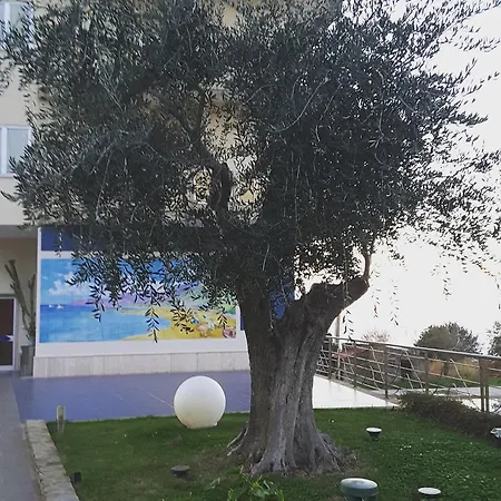 E Il Faro Acciaroli