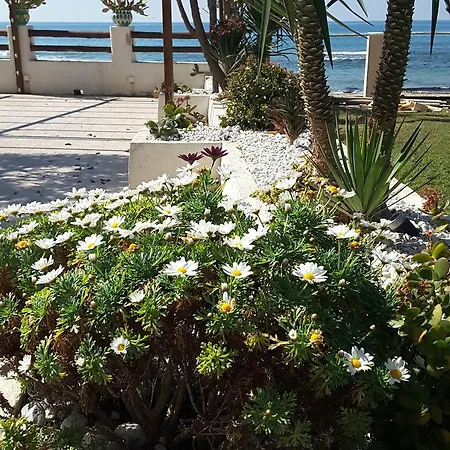 E Il Faro Acciaroli