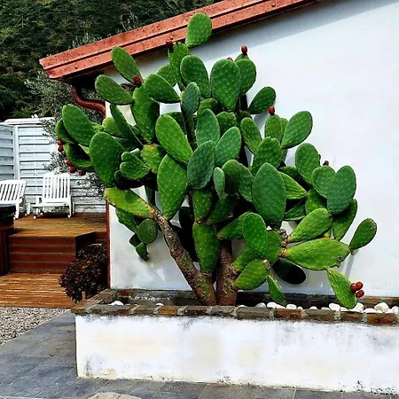 E Il Faro ホテル 3*