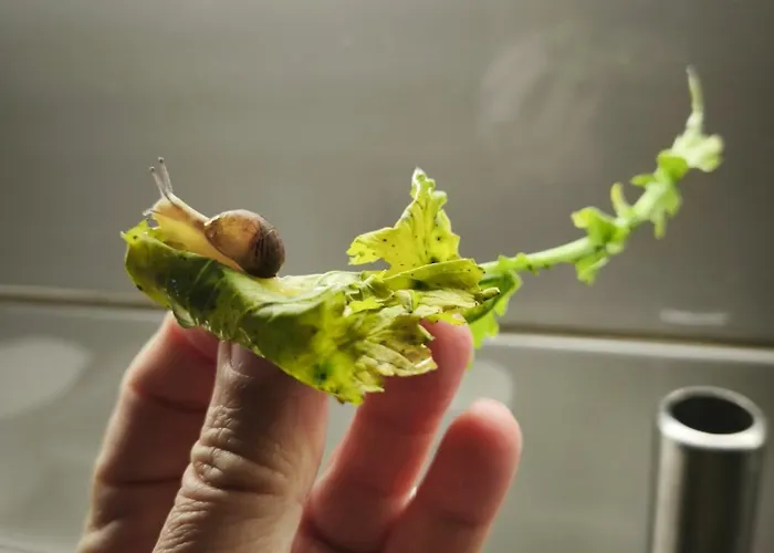 Hotel E Il Faro Acciaroli